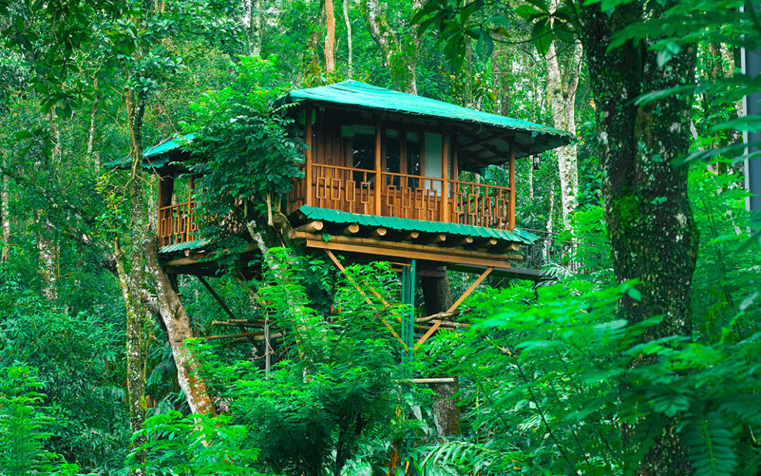 honeymoon resort in munnar