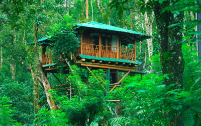 Why Dream Catcher Is the Perfect Romantic Escape in Munnar